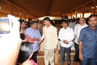 Celebs at Balakrishna Daughter Wedding Photos